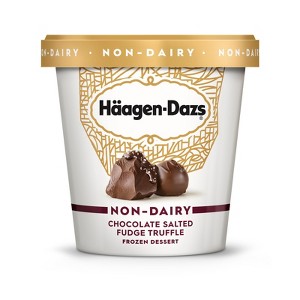 Haagen-Dazs Non-Dairy Dessert