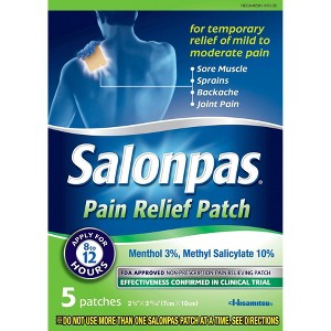 Salonpas Pain Relief Patch