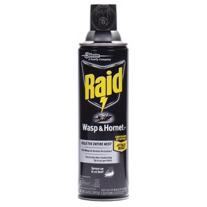 Raid