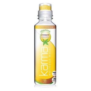 Karma Wellness Water