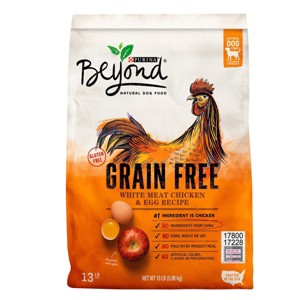 Beyond Dry Dog Food