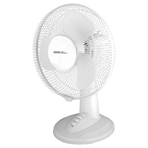 Fans