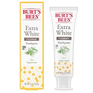NEW Burt's Bees Toothpaste