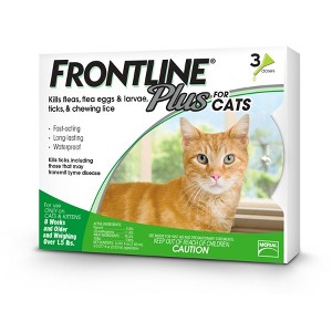 Flea & Tick Prevention