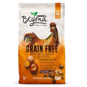 Beyond Dry Dog Food