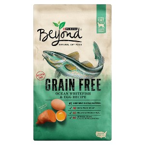 Purina Beyond Dry Cat Food