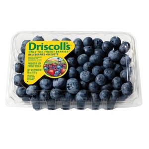 Blueberries