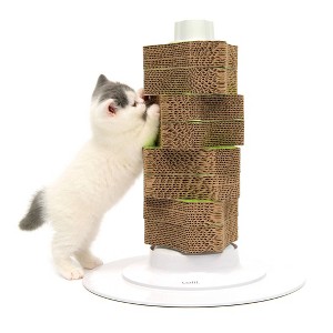 Cat Accessories
