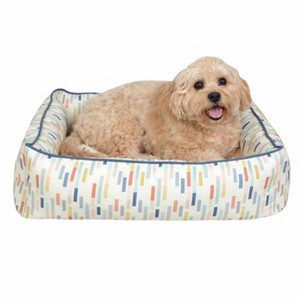 Dog Accessories
