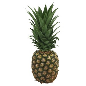 Tropical Fruit