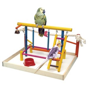 Bird Supplies