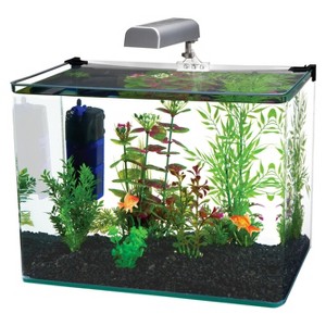 Fish Supplies